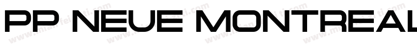 pp neue montreal font free字体转换